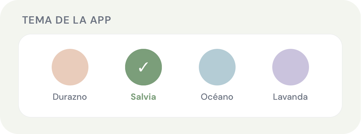 Pantalla de ajustes en dark mode mostrando cuatro opciones de tema de color.
