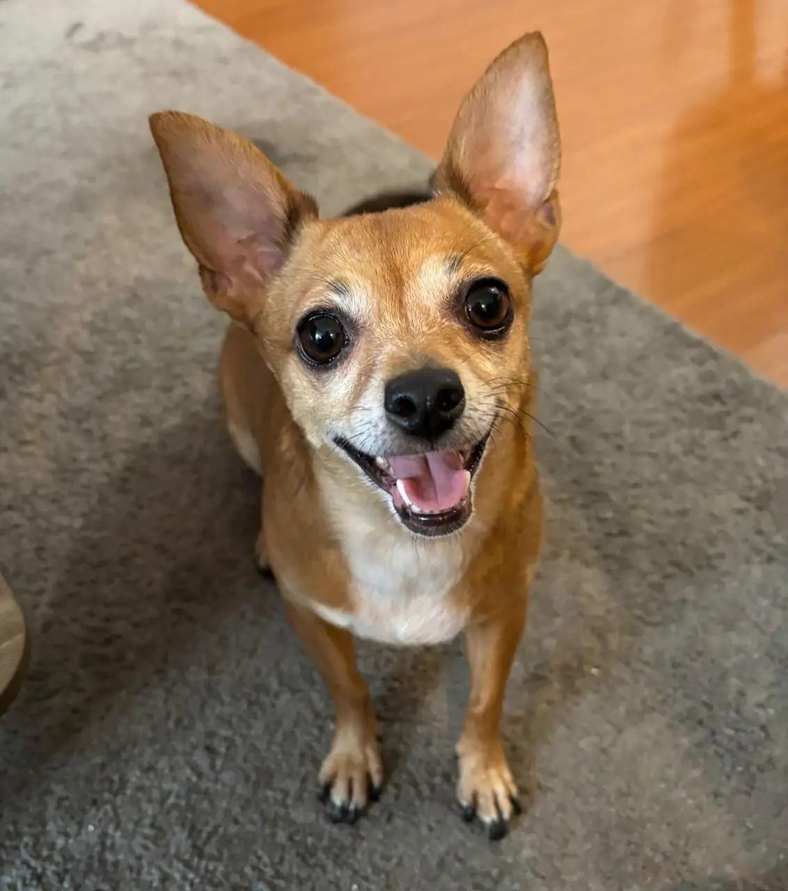 Nala